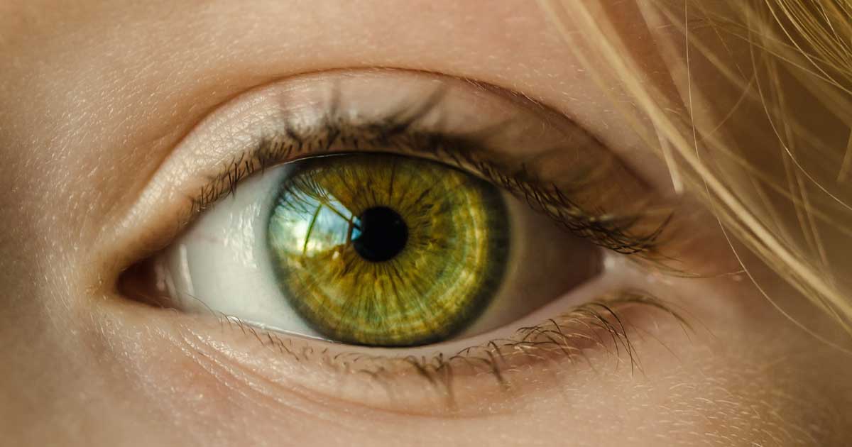Upper Eyelid Surgery